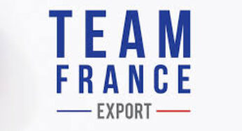 Partenariat Business France & Team France Export – DUALEST zone Russie